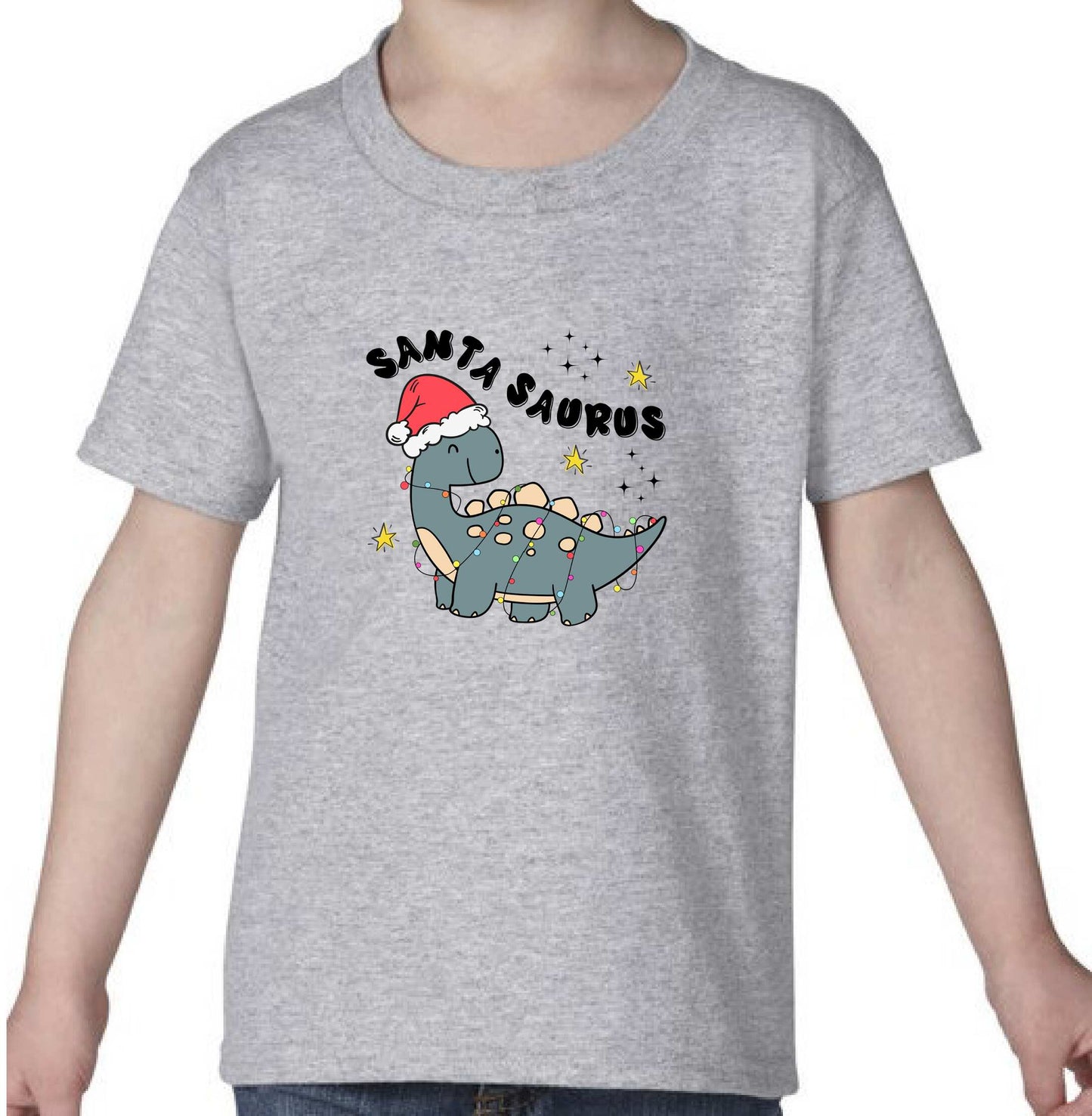 Baby & Toddler Short Sleeved T Shirt With Cute Santa Saurus Dinosaur - Grey